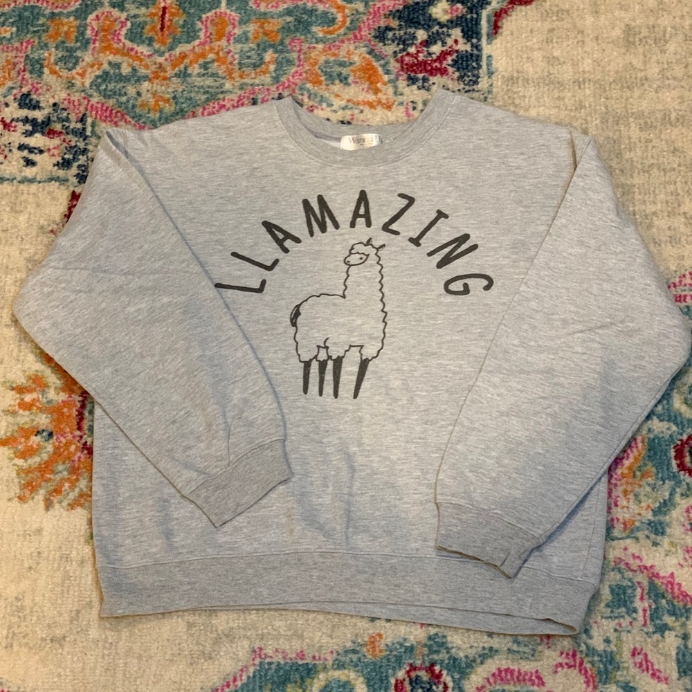 LLAMAZING Oversized Sweatshirt - Gray XL